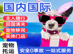 阿拉善航空货运国际宠物托运 【国